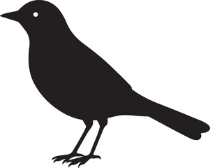 Fototapeta premium vector illustration of a bird, bird vector isolated on white background full body
