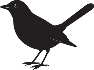 Obraz premium vector illustration of a bird, bird vector isolated on white background full body