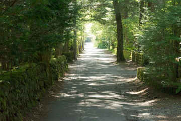 軽井沢の朝の風景
