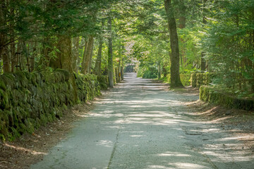 軽井沢の朝の風景
