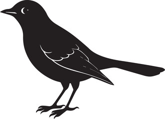 Obraz premium vector illustration of a bird, bird vector isolated on white background full body