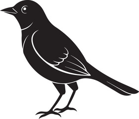 Obraz premium vector illustration of a bird, bird vector isolated on white background full body