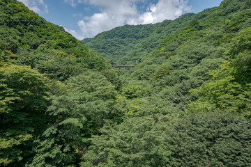 緑に映える碓氷峠
