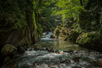 西沢渓谷の夏の景色
