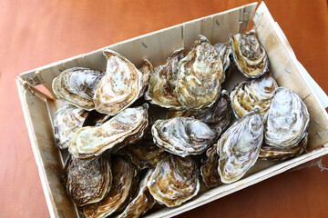 fresh oysters as gourmet exquisite sea food © fotoXS