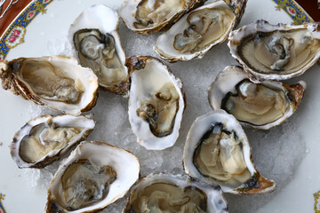 fresh oysters as gourmet exquisite sea food