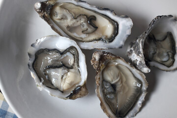 fresh oysters as gourmet exquisite sea food © fotoXS