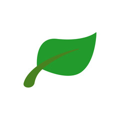 leaf icon, electronic wallet, simple flat style, illustration, logo sign symbol pictogram template, for ui or ux isolated on white for mobile app, editable