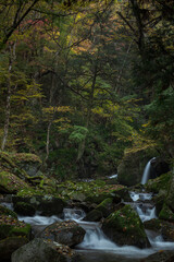 Obraz premium 滝沢渓谷の風景 