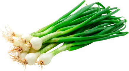 fresh green onion isolated on white background