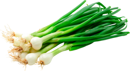 fresh green onion isolated on white background