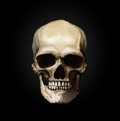 evil smiling human skull illustration  black background