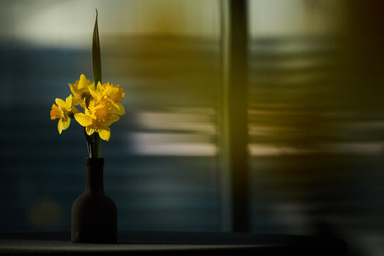 flowers in a vase