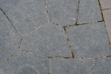 Obraz premium beautiful texture and beautiful background