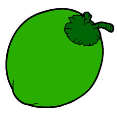 fruit