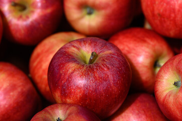 Freshly picked apples glistening under the sun at a local farmer's market during harvest season