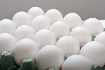 chicken eggs in a tray, white background
