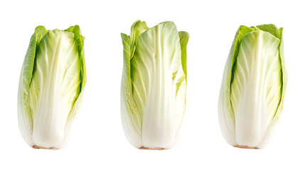 Endive Set in Three Different Poses on Transparent Background for Healthy Recipes, Salad Illustrations, or Vegan Food Concepts