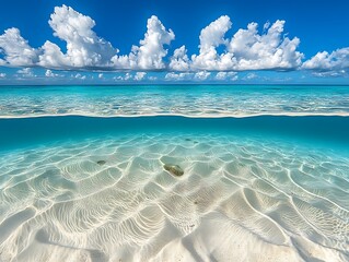 A stunning split image showing the ocean above and below
