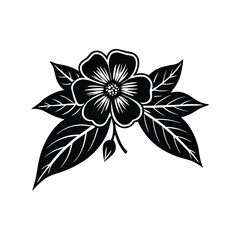 black cherry flower vector white background.