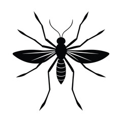 mosquito isolated on white