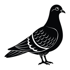 pigeon silhouette vector with a white background.