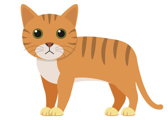 Charming Cute Cartoon Orange Cat Character Illustration Full of Color and Fun Elements
