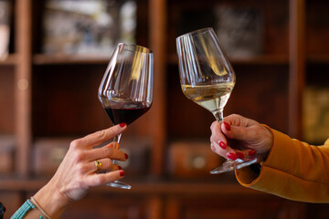 Two women clink glasses of red and white wine in a cozy setting. A perfect moment for a romantic...