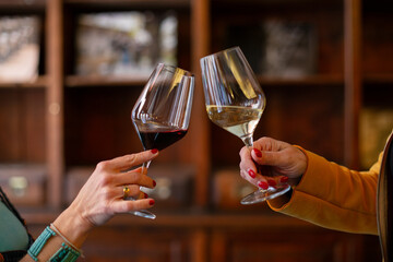 Two women clink glasses of red and white wine in a cozy setting. A perfect moment for a romantic aperitif or a friendly get-together.