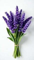 Fototapeta premium Luxurious lavender bouquet, stark white setting, botanical, bright, decoration