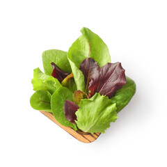 Fresh baby leaf greens, spinach, swiss chard and lettuce salad in square wooden bowl isolated on white background top view