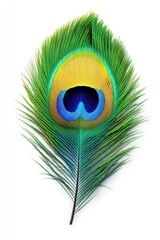 Obraz premium Elegant peacock feather displaying vibrant colors and intricate patterns against a clean white backdrop for design
