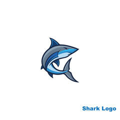 Streamlined Shark Logo Design Dynamic and Modern Branding for Surfing and Adventure Sports.