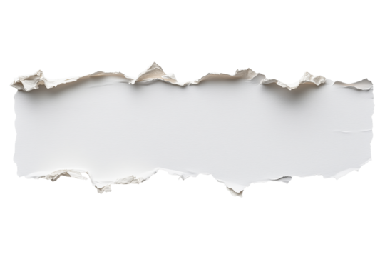 Zerrissener Papierstreifen mit realistischer Struktur PNG mit transparentem Hintergrund

