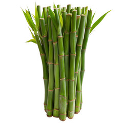 Obraz premium A cluster of vibrant green bamboo stalks with fresh leaves, showcasing natural beauty and growth. bamboo smooth texture and vertical alignment create serene and harmonious appearance