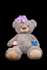 Teddy bear with gift box of wedding rings on black background, isolated