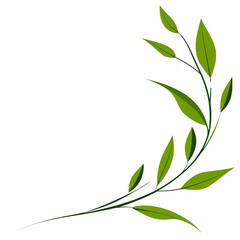 Fototapeta premium A simple illustration of green leafy branch with multiple leaves extending from thin stems, creating natural and elegant design. leaves are varying size and shape, adding dynamic and organic feel to