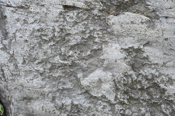 beautiful texture and beautiful background