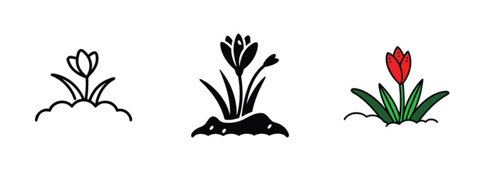 Crocus Flower Icons Line Art, Silhouette, and Color