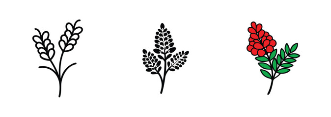 Floral Illustrations Wheat, Black Flowers, Red Berries