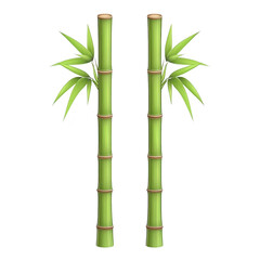 A Two vibrant green bamboo stalks stand tall, each adorned with lush leaves, symbolizing strength and resilience. image captures natural beauty and simplicity of bamboo