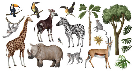 Jungle animals and trees isolated. Palm trees, giraffe, okapi, zebra etc. Vector.