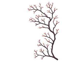 A bare tree branch with red buds against transparency background creates striking contrast, highlighting delicate beauty of nature transition. simplicity evokes sense of calm and anticipation