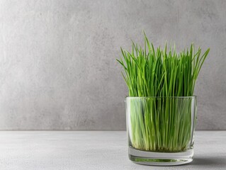 Lush green wheatgrass in a glass with dewdrops, emphasizing its detoxifying and healthboosting properties