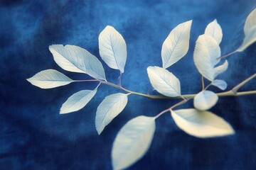 Serene botanical beauty of delicate leaves against a textured indigo backdrop creating a calming and artistic nature inspired composition