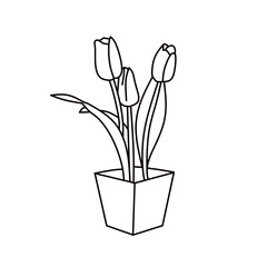 flower in a pot line art