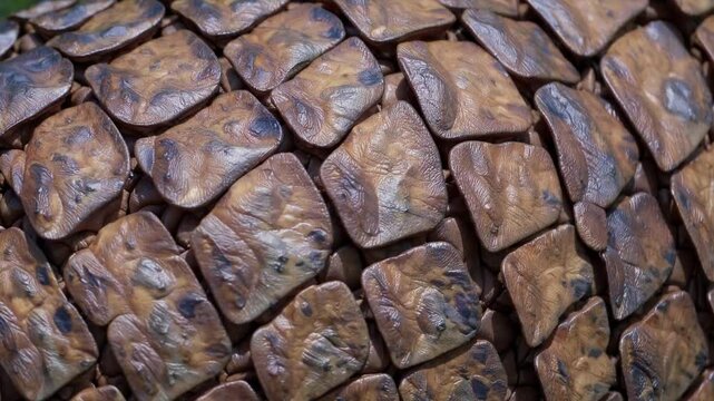 Close up view revealing intricate armadillo armor plates, displaying unique textural patterns and natural protective design of wildlife exoskeleton