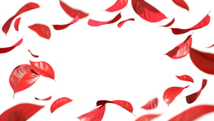 Vivid red foliage dancing frame copy-space isolate transparent backgrounds 3d render png file