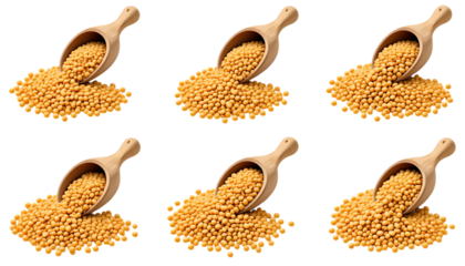 wooden scoop pouring out golden soybeans set