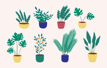 Cartoon Different Types Potted Plants Set Interior Element Concept Flat Design Style Include of Zamiokulkas and Fern. Vector illustration of Houseplants